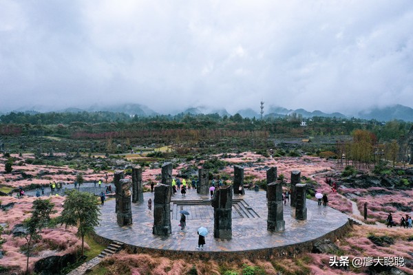 重庆这片花海你还没有来打开，那你就输了