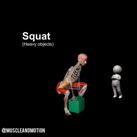 椎间盘的恢复,椎间盘恢复生理曲度方法