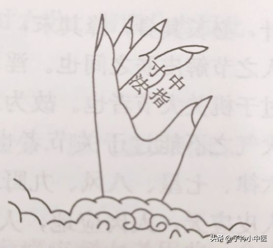 穴位的一寸是多长,人体穴位怎样确定找得准确不准确