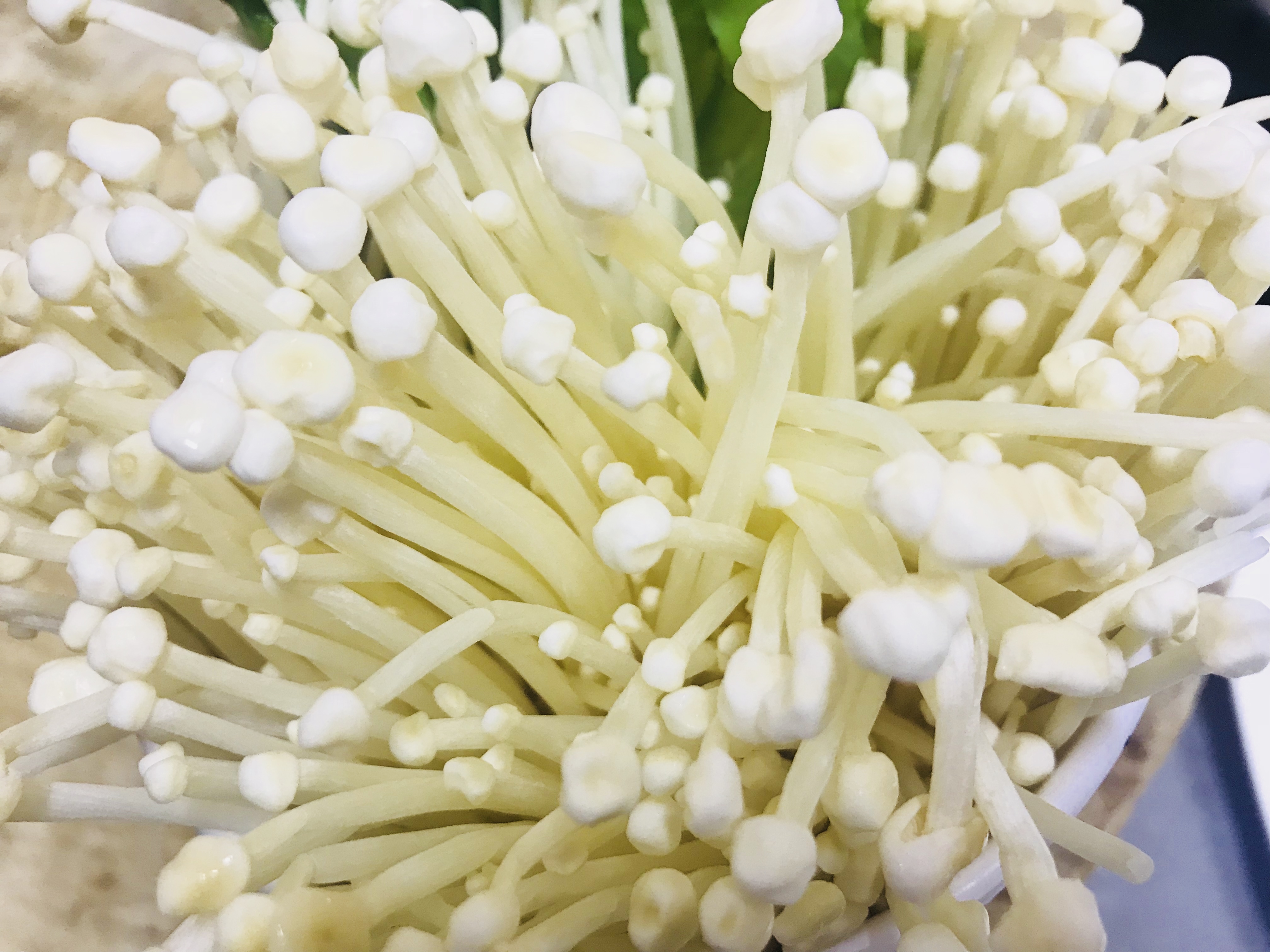 给自己一个度假的理由海南三亚,三亚度假的天堂