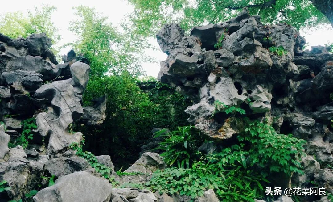 留园拙政园哪个景色好,留园和拙政园