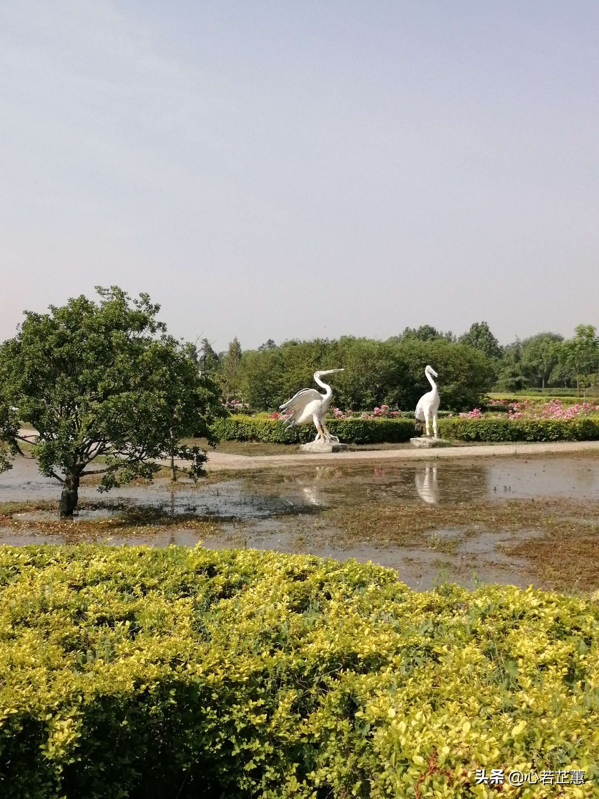 涓浗鍥涘ぇ鍚嶆ゼ鍒嗗埆鍦ㄥ摢,涓浗鐨勫洓澶у悕妤煎垎鍒湪鍝噷