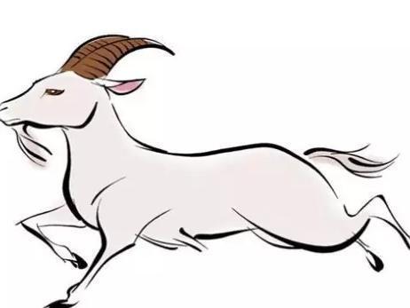 十二生肖的春节祝福语,春节生肖祝福语