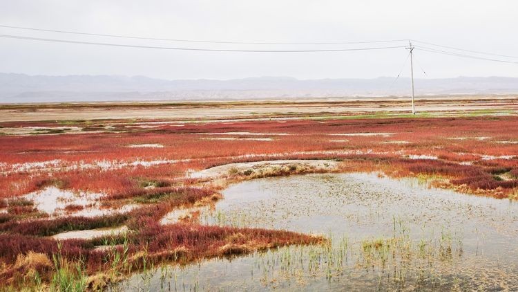 龙眼凤羽的艾肯泉，该称恶魔之眼，还是天使之眼，你来决定吧