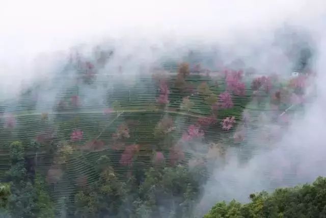 下半年旅行最佳时间表,2023最佳旅游时间表