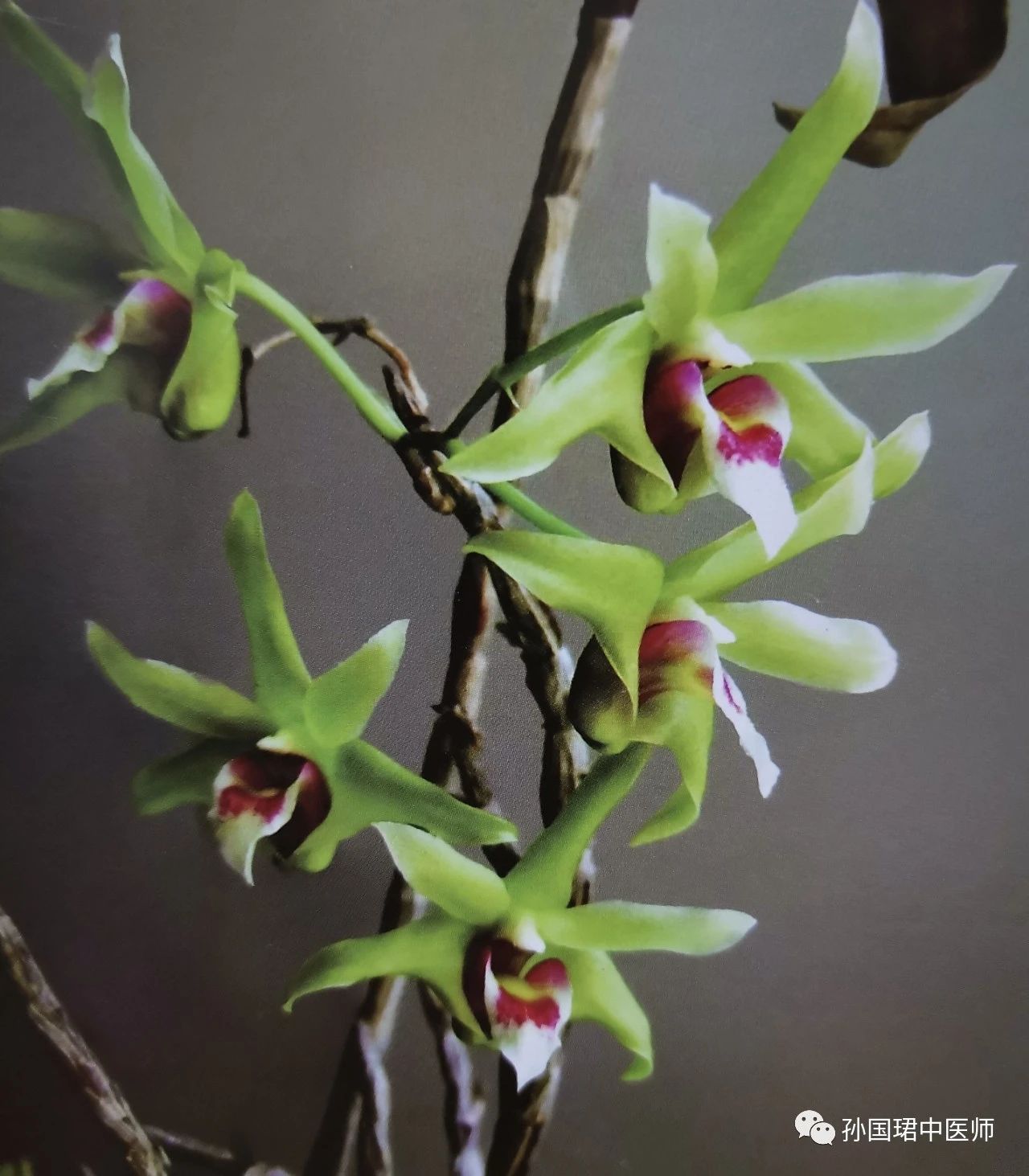 混合型高脂血症怎样控制饮食,高脂血症胰腺炎恢复后饮食注意