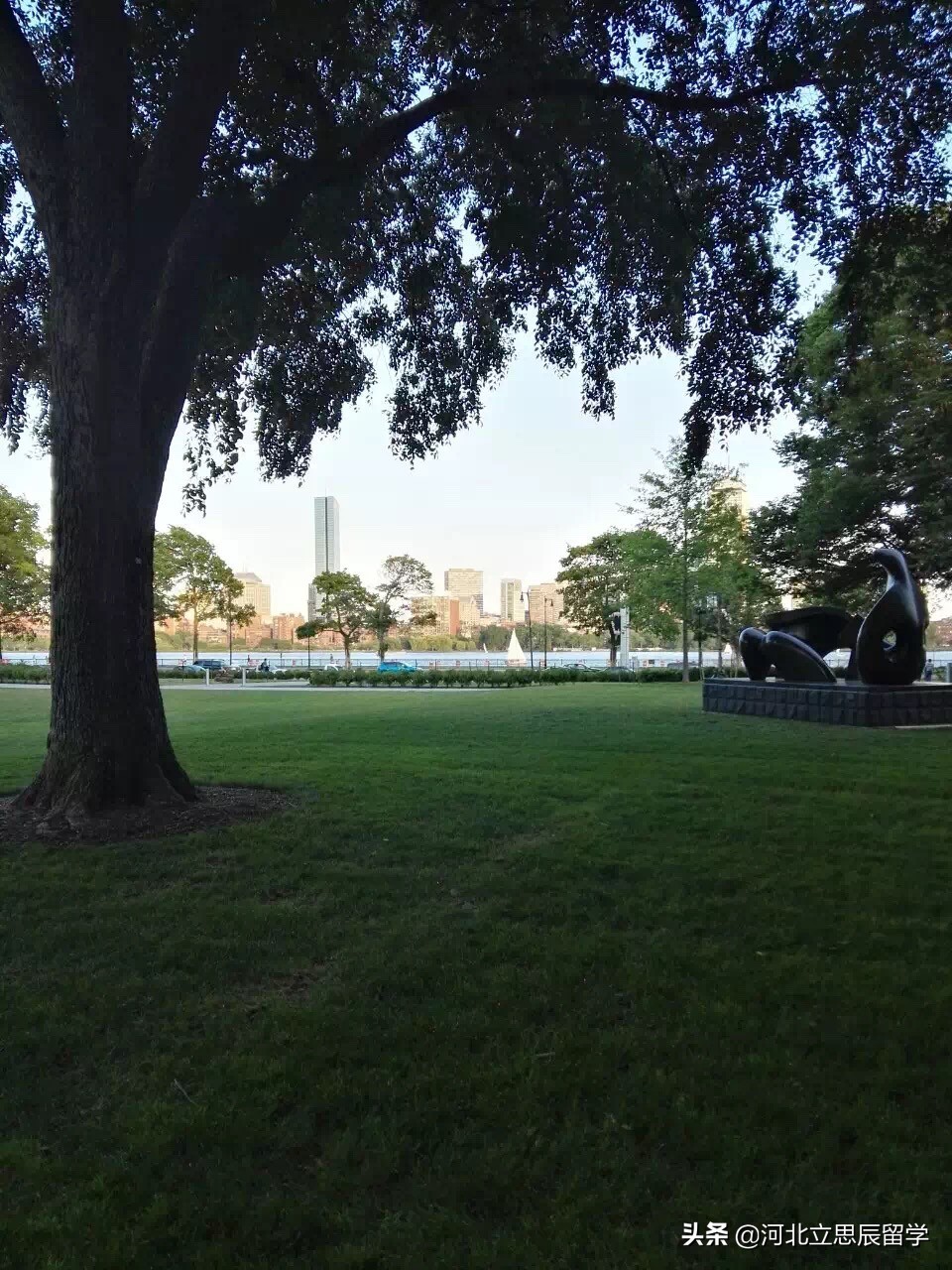 美国留学没有收到通知书怎么处理,美国留学大四被学校开除了怎么办