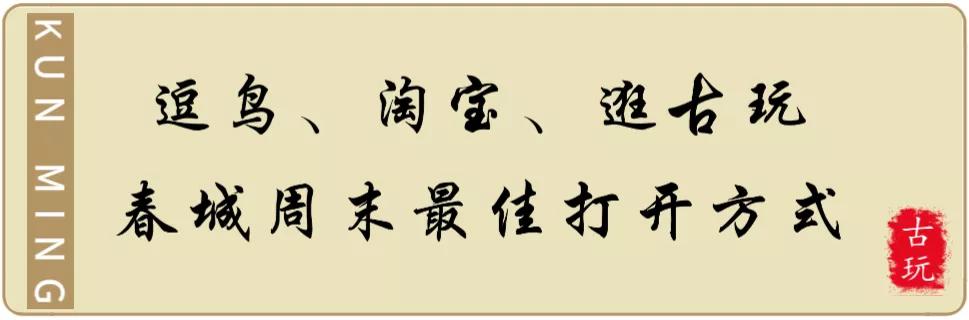 昆明古玩市场哪个市场最热闹,昆明的古玩市场在哪里