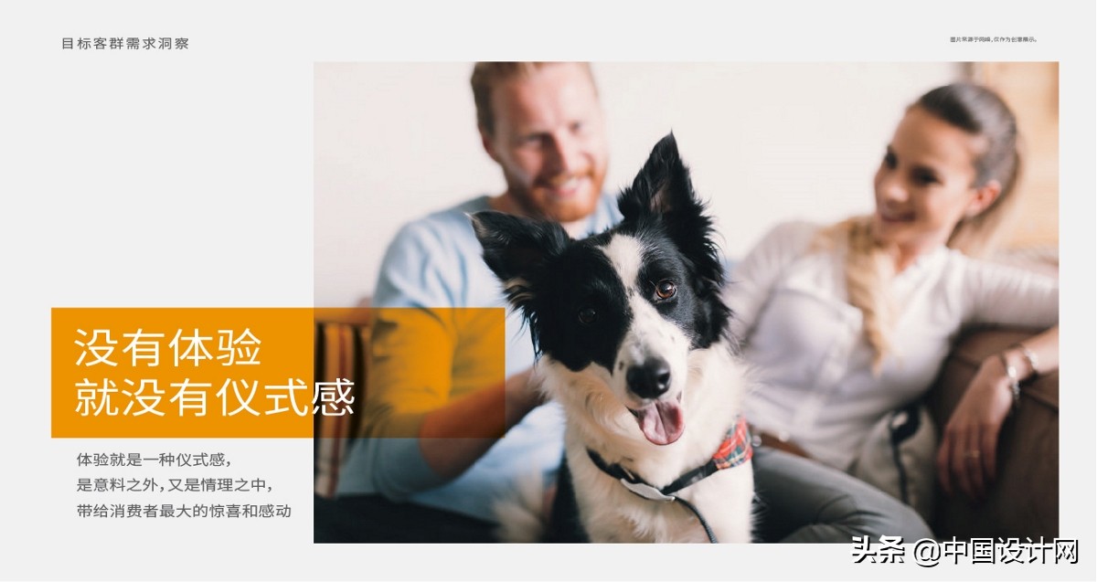 钃濇皬鐚伯鍖呰璁捐,鐚伯鐙楃伯绯诲垪鍖呰璁捐鐞嗗康