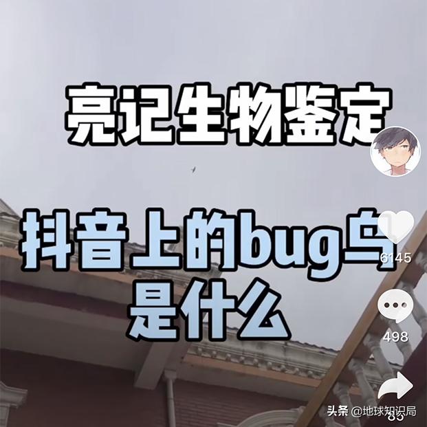 全球旅行攻略干货,全球旅行不为人知的秘密