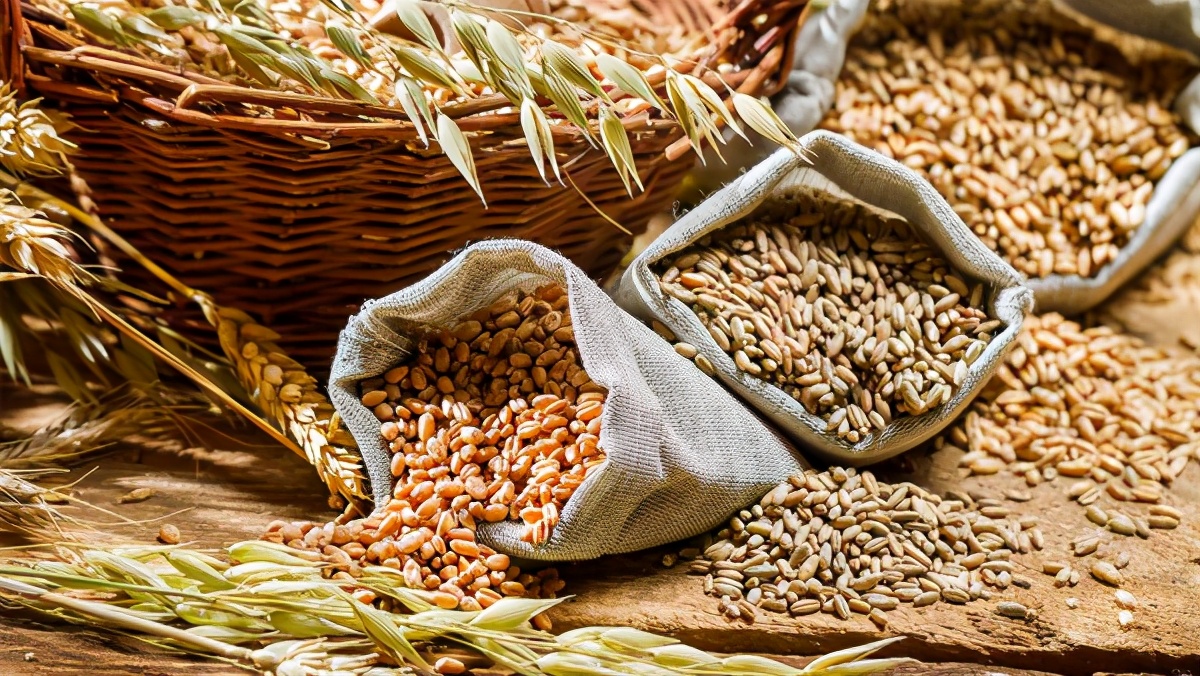 中欧班列运行回城,中欧班列满载货物