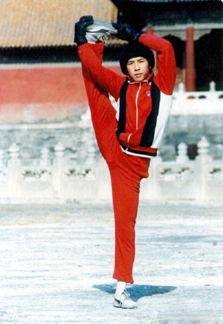 李连杰电影中最知名的20个反派,李连杰电影中的反派人物