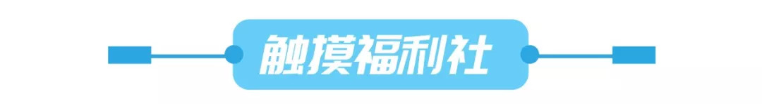 这个双十一都薅到什么了,这个双十一你们剁手了吗
