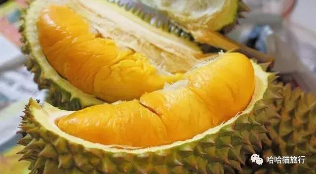 马来西亚落地免签,马来西亚落地签最新入境政策