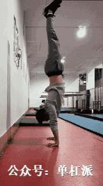 自由倒立撑训练方法,初学者如何掌握倒立撑