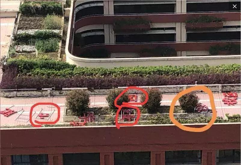 合肥经开莲花小学,莲花小学成了168学校了吗