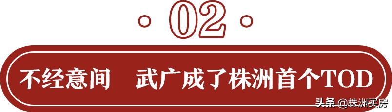 鏍床姝﹀箍鏂板煄鐨勫績澶磋倝,姝﹀箍鏂板煄鏍床