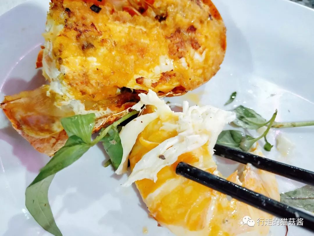 越南美奈跟大叻哪个更值得去,胡志明美奈大叻游