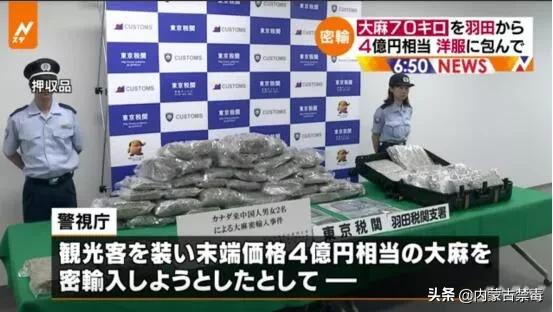 各国贩毒集团,世界各大贩毒集团