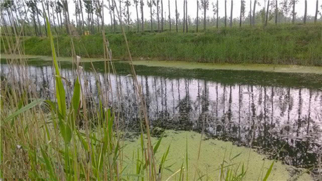 钓鱼人钓的是什么,钓鱼人就是这样收获满满