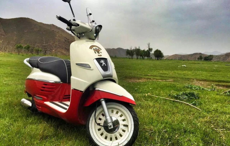 标致姜戈150abs接口在哪里,标致姜戈150abs一直闪