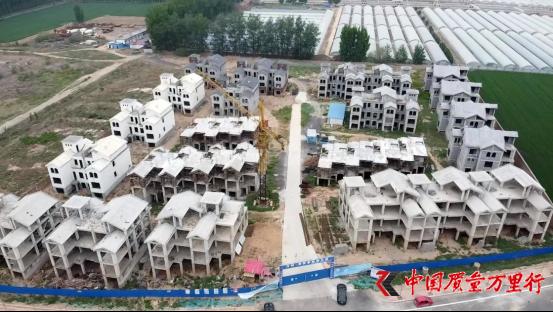 閭兏鑽g洓杩濆缓鍒鎬庝箞澶勭悊,杩濆缓鍒杩濇硶杩濈邯妗堜緥