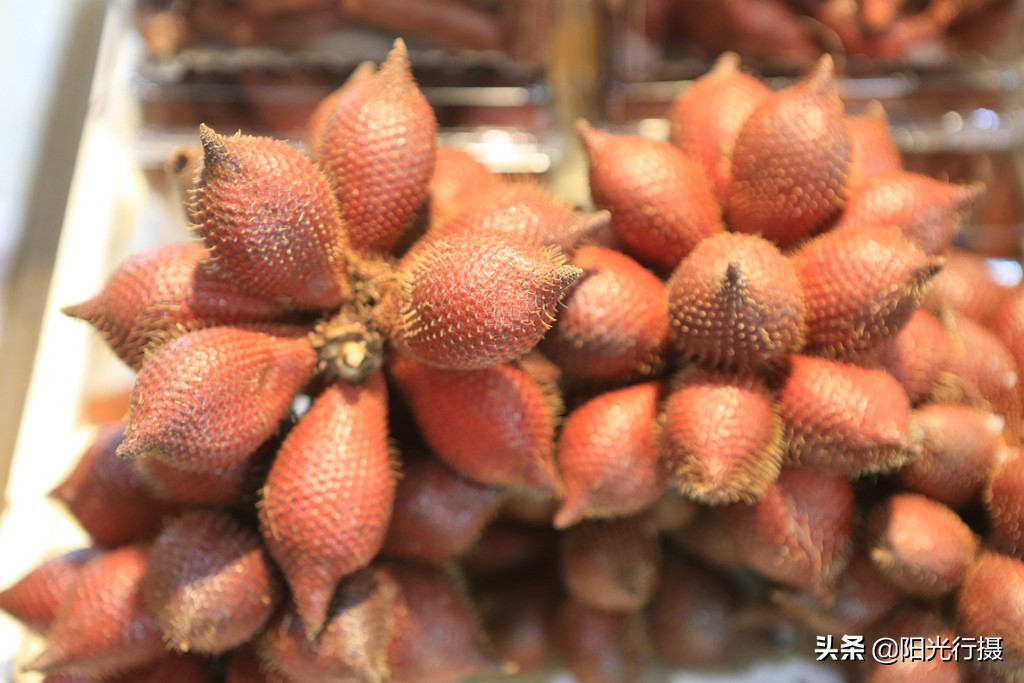 云南腾冲热海温泉,云南腾冲热海温泉井