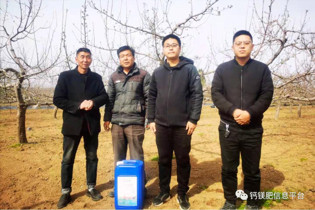 2021河南灵宝苹果硝基钙镁液体肥试验示范开启