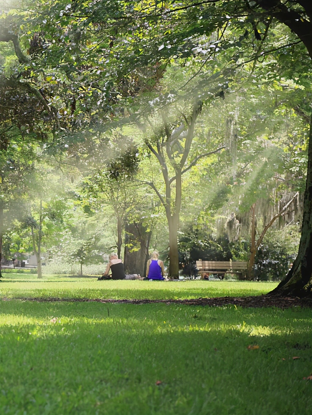 这些限定款神仙色号,只有住进这里才知道