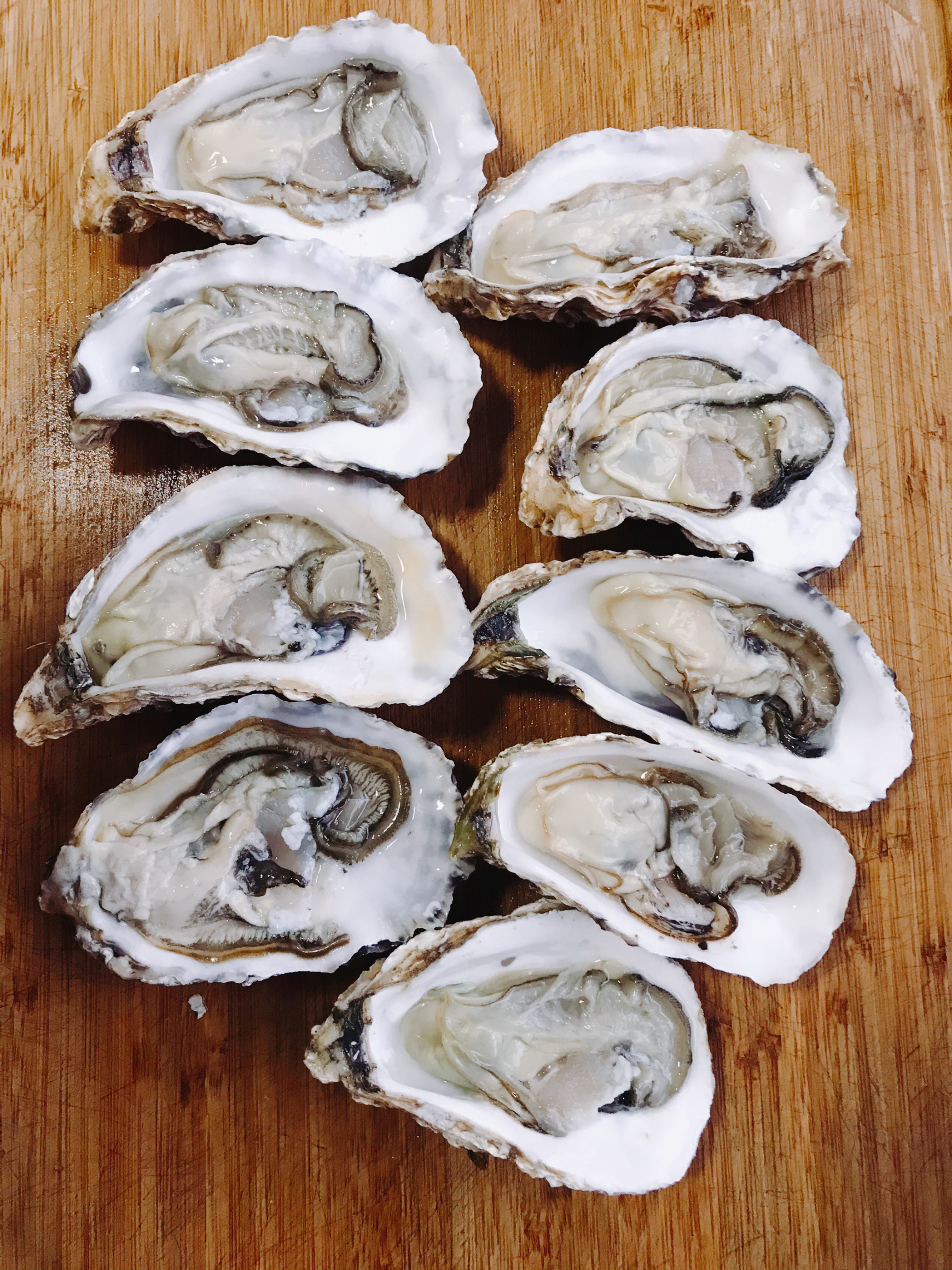 没烤炉可以做生蚝吗,烤箱烤生蚝操作全部视频