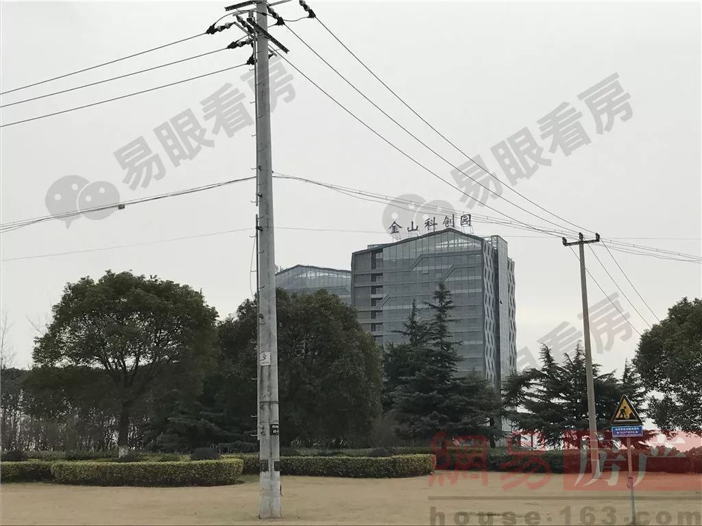 上海金山未来发展,上海的金山农村什么样