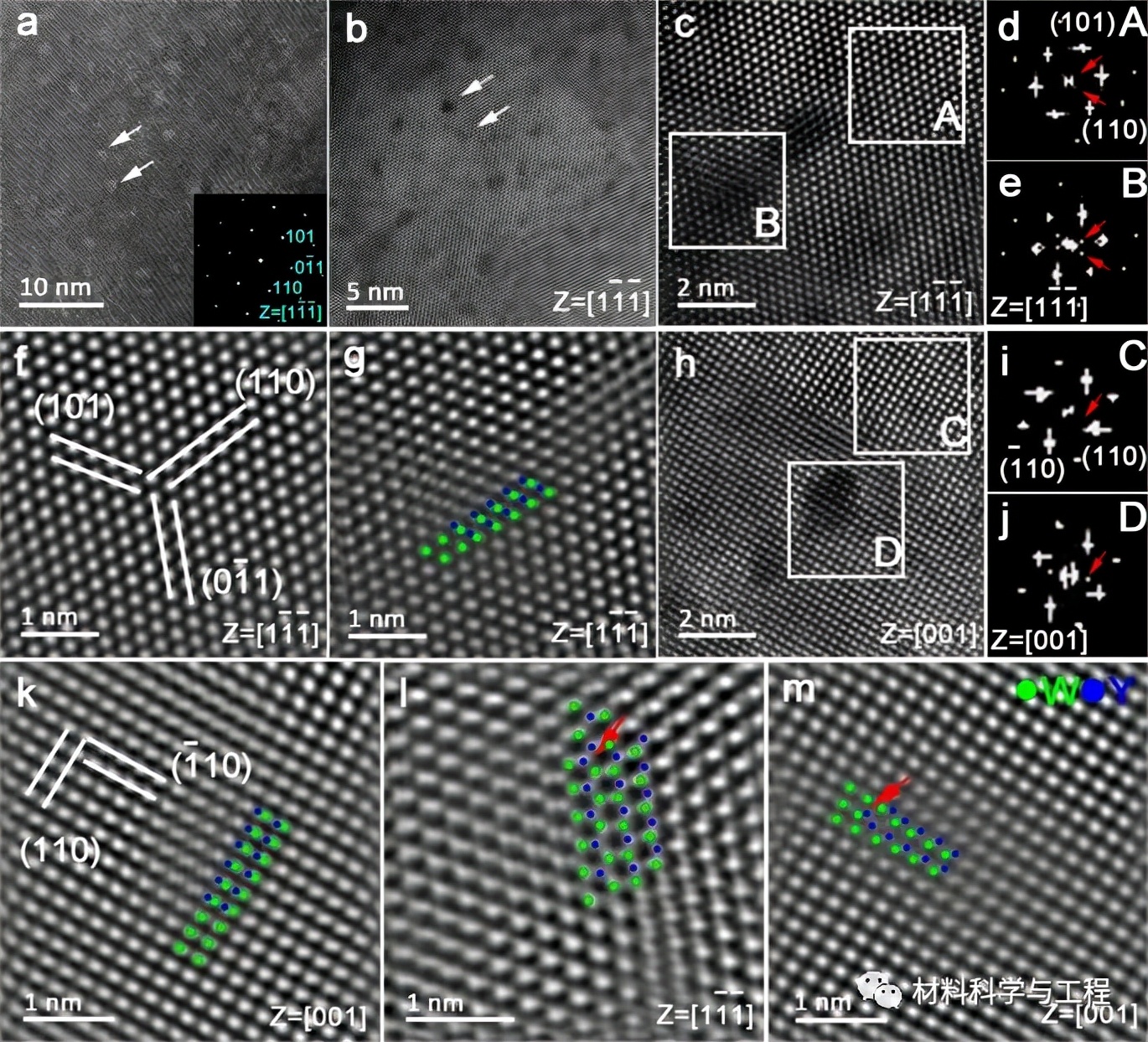 天大生物医学工程,天大生物力学
