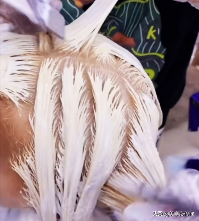 发型师不会推的发色,发型师不会设计颜色