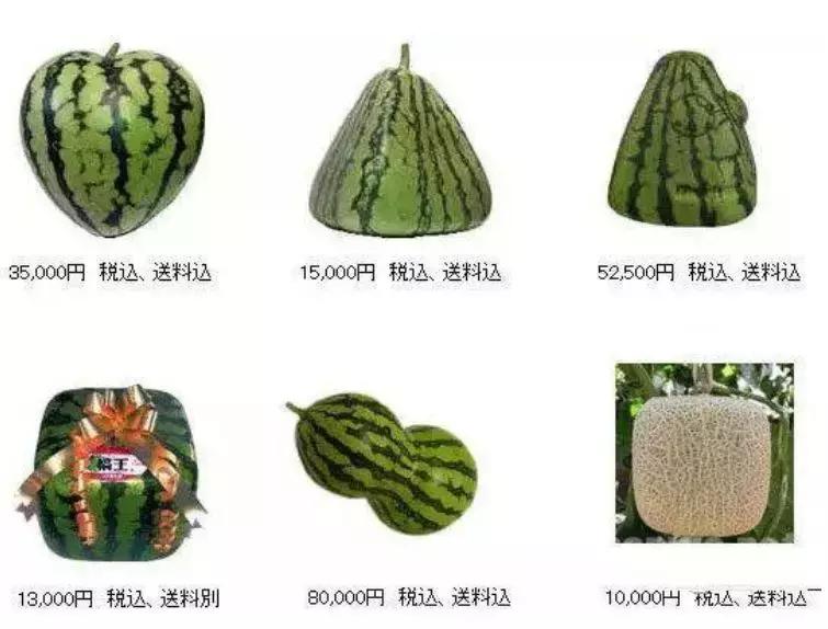 日本10万一个的水果，中国却卖出“白菜价”，日本游客都不想走了