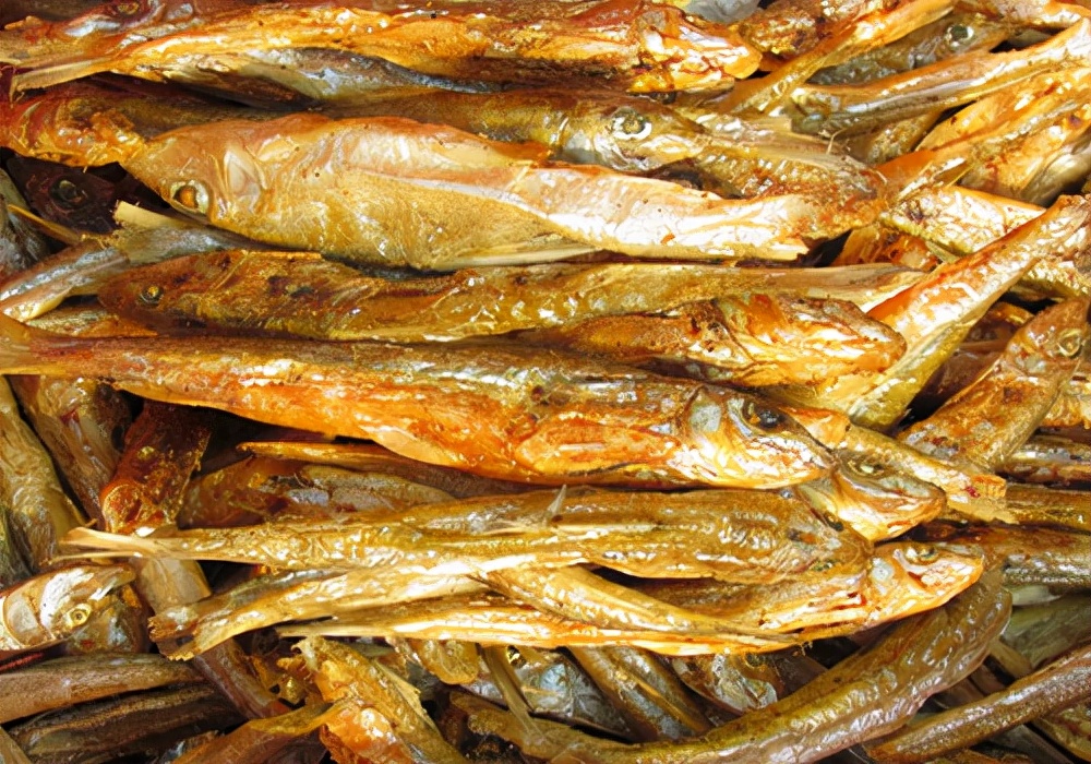 狗狗不喝水不吃饭是怎么了,正常狗狗不吃饭吃什么药