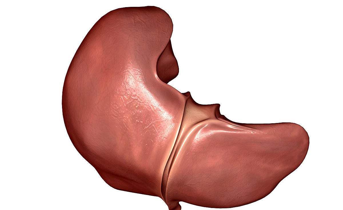 肝豆状核变性属于特殊慢性病吗,肝豆状核变性的罕见病