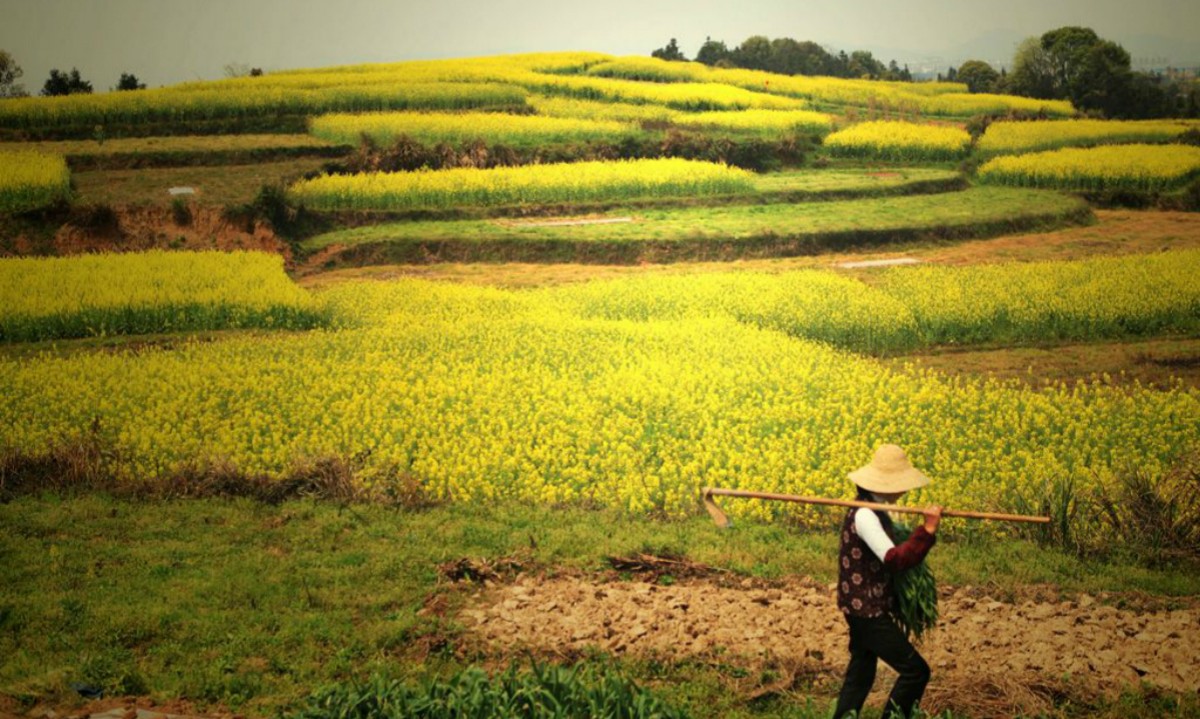 农发贷最新信息,农发贷有几种