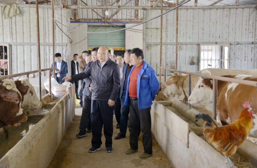 安徽乡村振兴重点帮扶县,乡村振兴省重点帮扶村