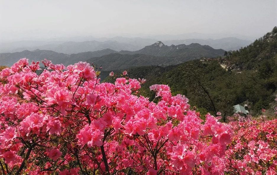 冬酿一杯酒,冬酿一壶酒