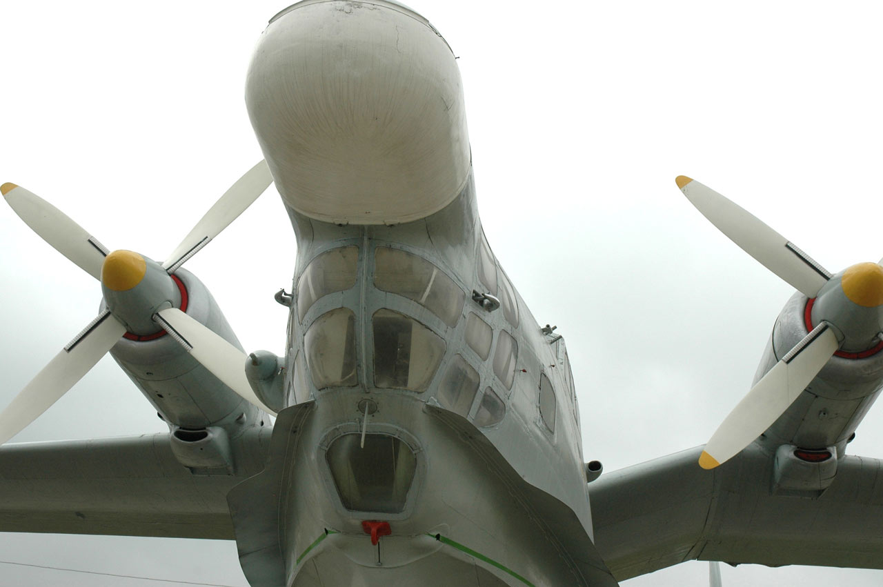 折翅海鸥,折翅的海鸥