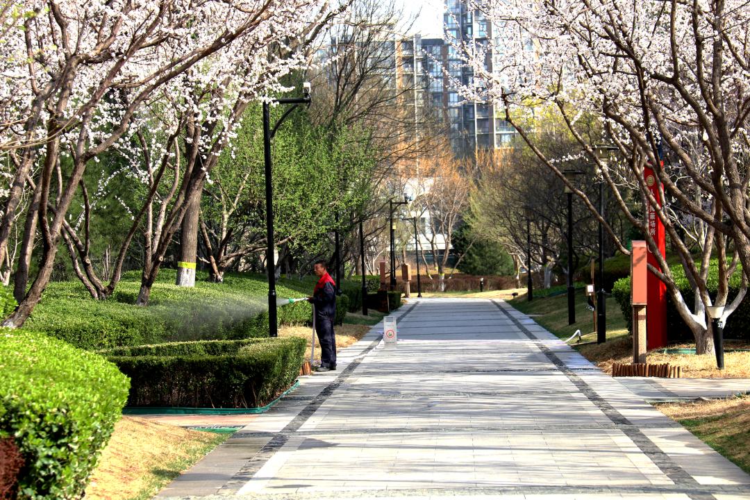 走在春天里简谱,歌曲走在春天里