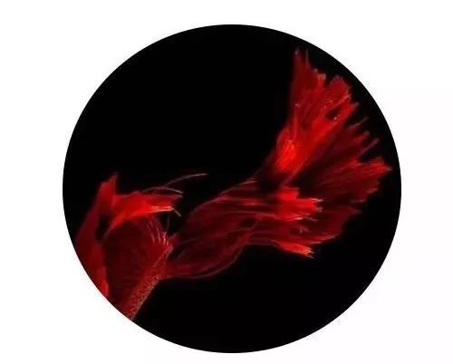 适配苹果的主动降噪耳机,苹果最新的入耳式降噪耳机