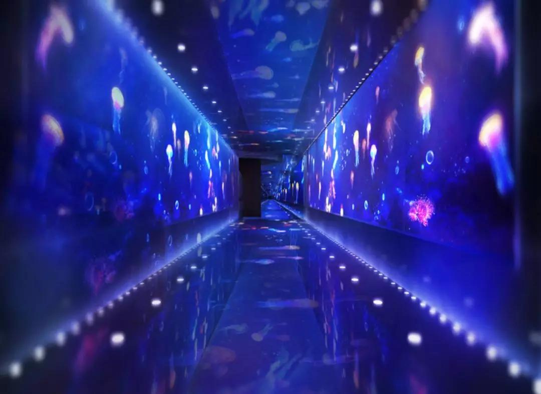 免费梦幻灯光节,梦幻灯光节免费门票