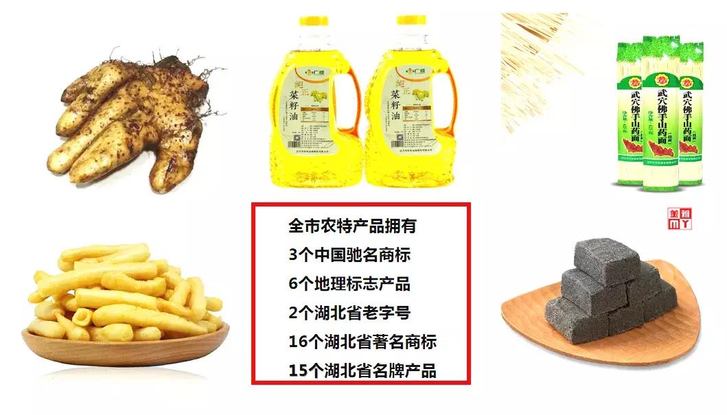 武穴电商扬帆远航,武穴电商网