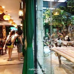 广州长隆野生动物世界的奇幻之旅,番禺长隆野生动物园1天旅游攻略