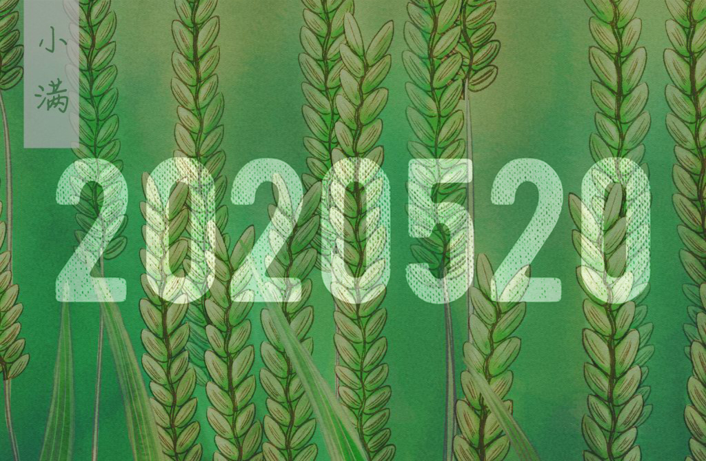 当小满遇上2020520