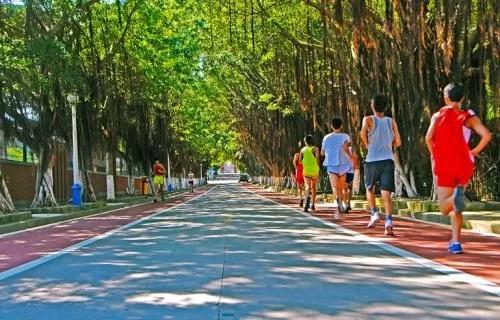 站着腿打软是什么原因,走着腿突然软一下怎么回事