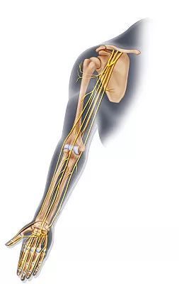 手发麻是颈椎的问题还是风湿,手麻疼是冰冷的是什么原因