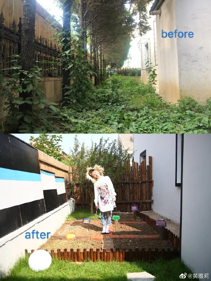 我们为什么羡慕黄雅莉的生活,黄雅莉豪宅在哪里