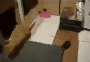 搞怪可爱猪图,搞笑猪脸图片